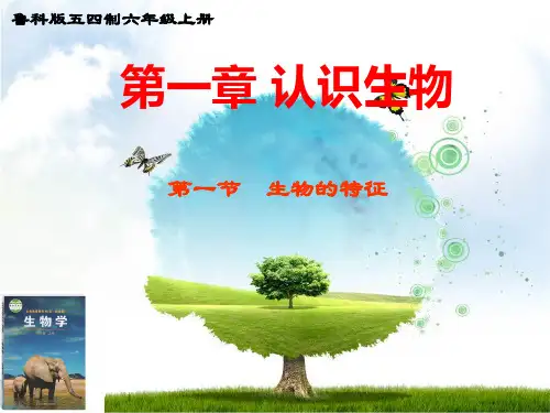 鲁科版生物五四制六年级上册《生物的特征》公开课课件