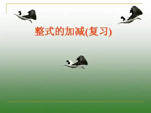 第二章 整式的加减(复习)