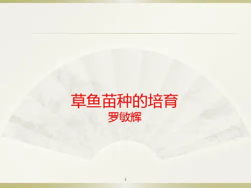 草鱼苗种的培育(改)