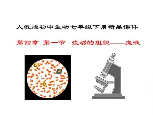 人教版七年级下册第四章第一节流动的组织—血液(共32张PPT)