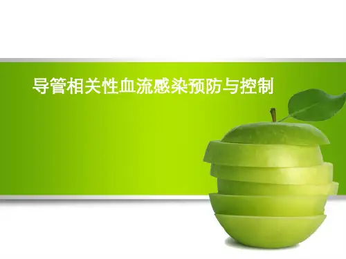 导管相关血流感染预防与控制1 PPT课件
