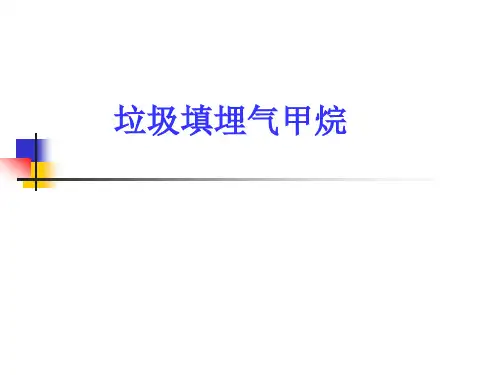 垃圾填埋气甲烷精选全文