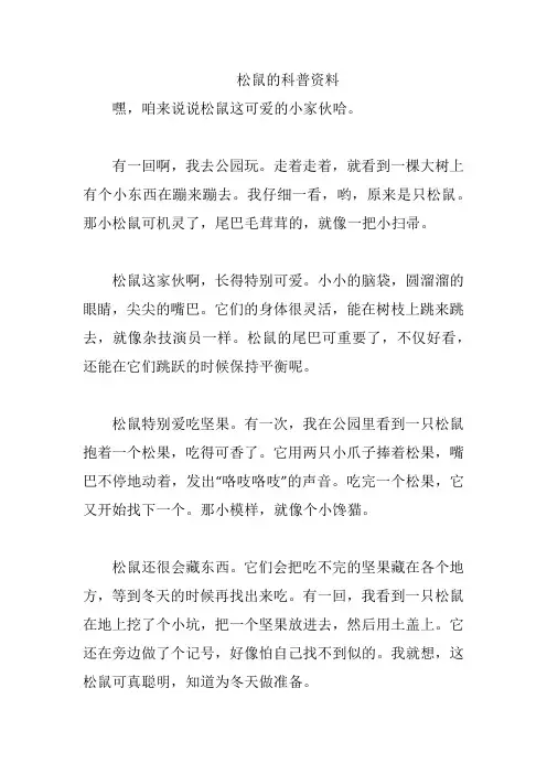 松鼠的科普资料