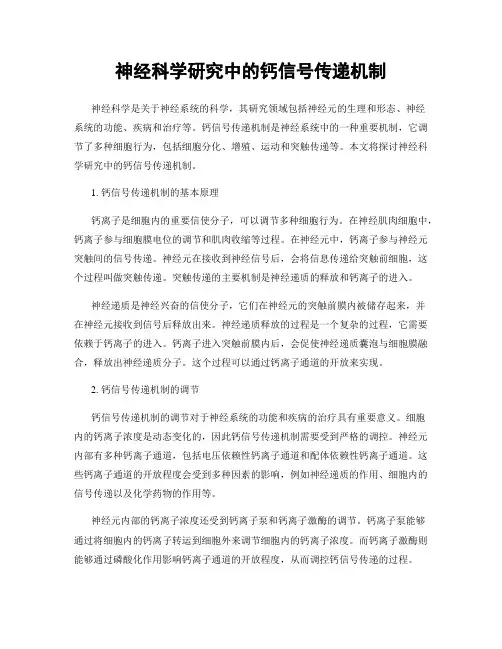 神经科学研究中的钙信号传递机制