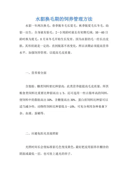 水貂换毛期的饲养管理方法
