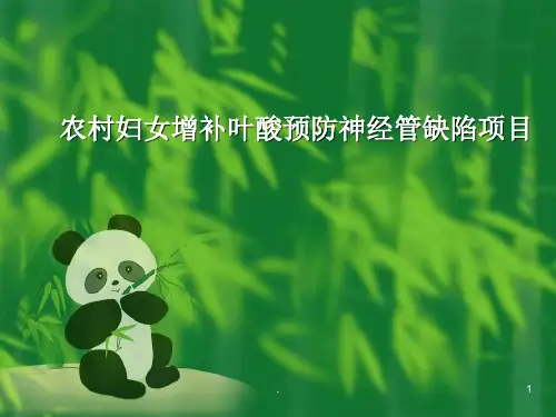 叶酸增补ppt课件