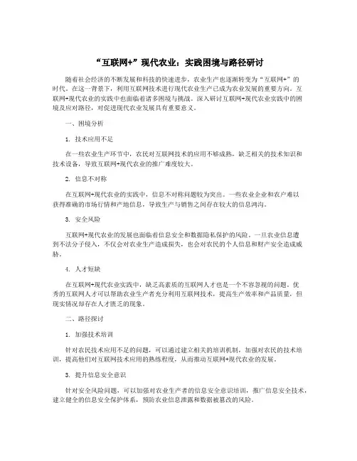“互联网+”现代农业：实践困境与路径研讨