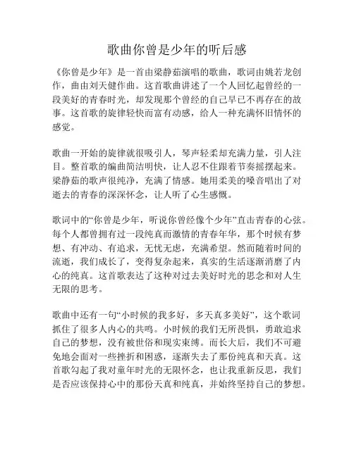 歌曲你曾是少年的听后感