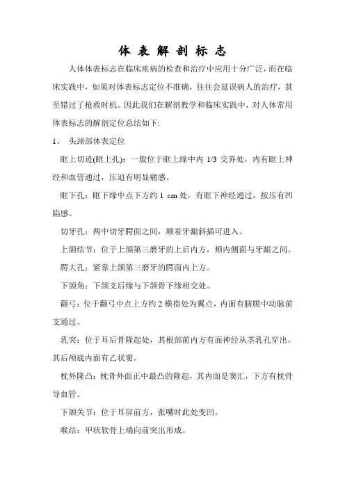 体表解剖标志