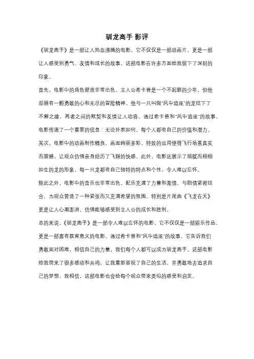 驯龙高手 影评