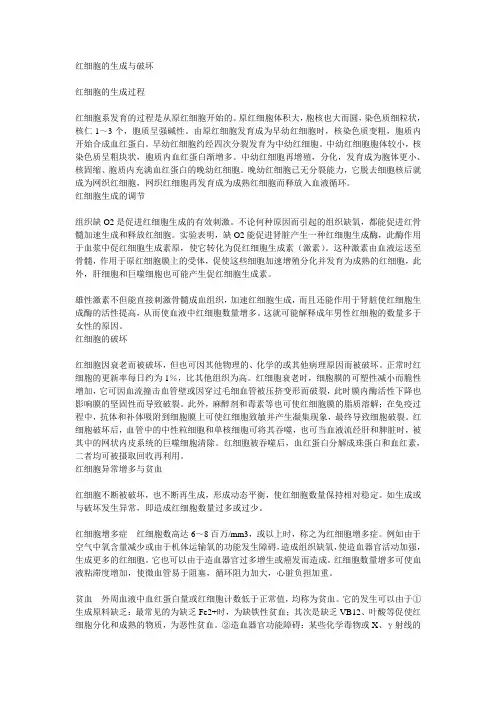 红细胞的生成与破坏