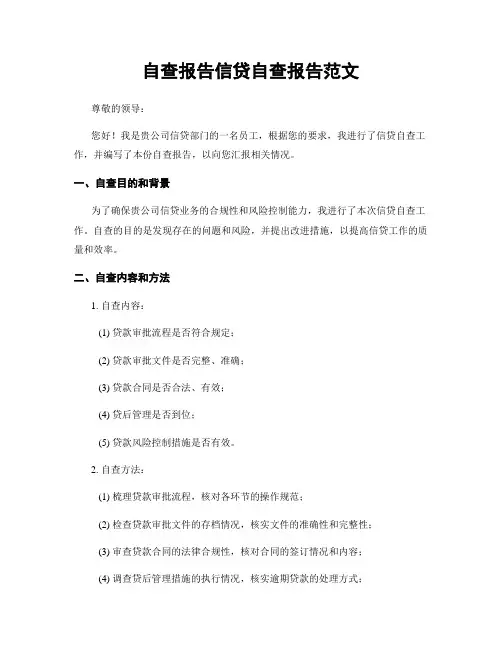 自查报告信贷自查报告范文