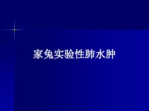 家兔实验性肺水肿