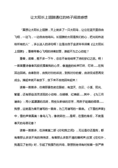 让太阳长上翅膀通红的柿子阅读感想