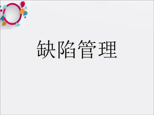 《缺陷管理》PPT课件