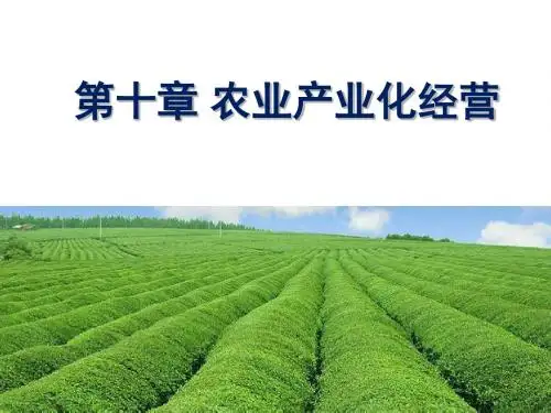 [实用参考]农业产业化经营.ppt