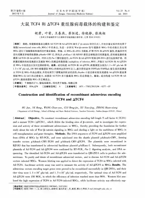 大鼠TCF4和ΔTCF4重组腺病毒载体的构建和鉴定