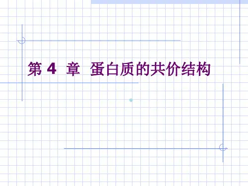 第4章蛋白质的共价结构2