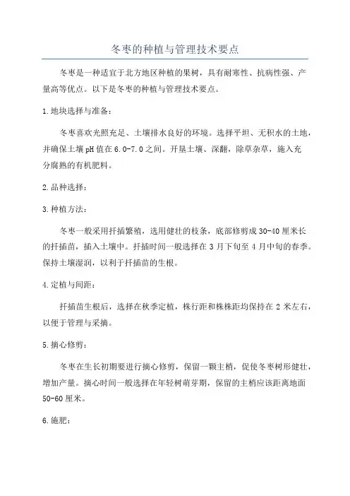 冬枣的种植与管理技术要点