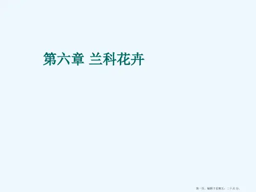 花卉鉴赏-兰科花卉