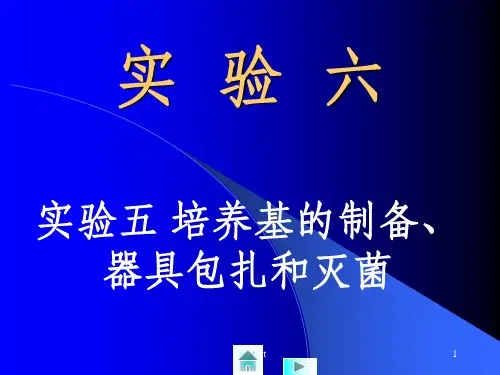 《微生物学实验》PPT课件