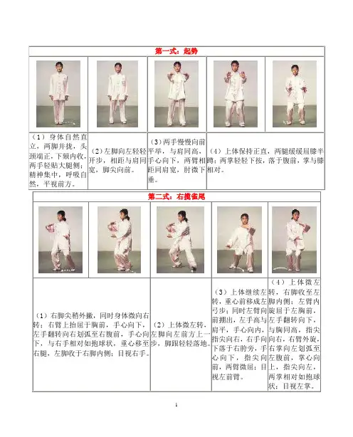 四十二式太极拳拳谱详解