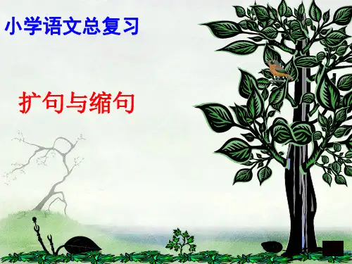 四年级缩句、扩句