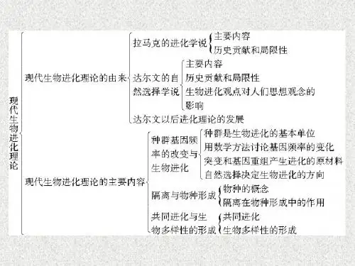 高中生物必修2课件：第七章 现代生物进化理论
