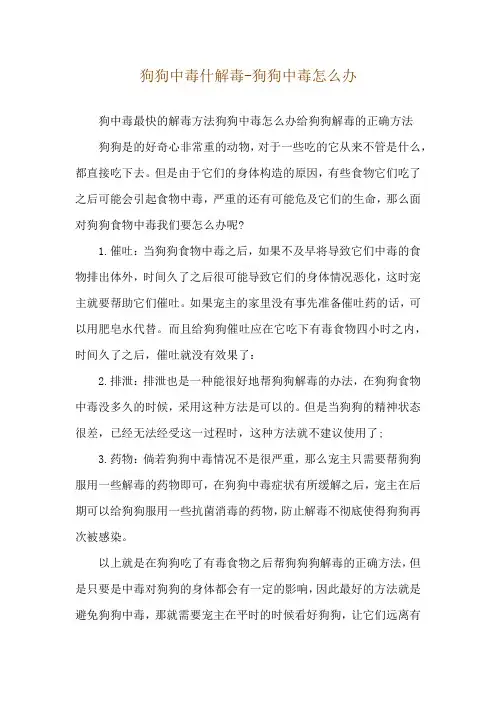 狗狗中毒什解毒-狗狗中毒怎么办