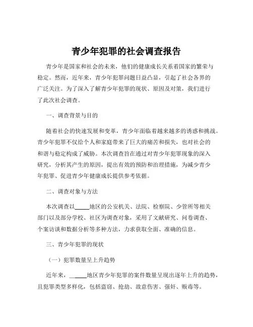 青少年犯罪的社会调查报告