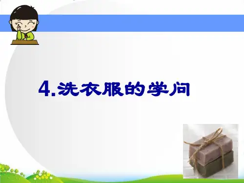 【苏教版】科学《洗衣服的学问》PPT-公开课