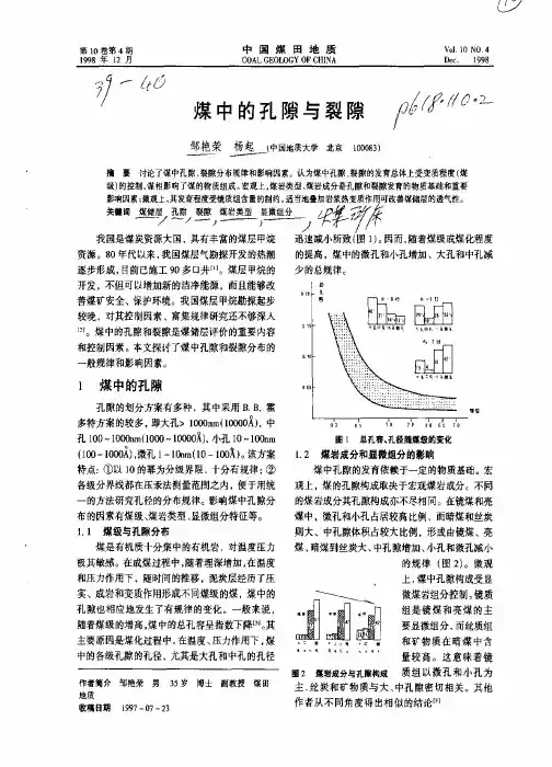 煤中的孔隙与裂隙