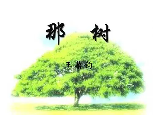 《那树》PPT课件5 (共23张PPT)