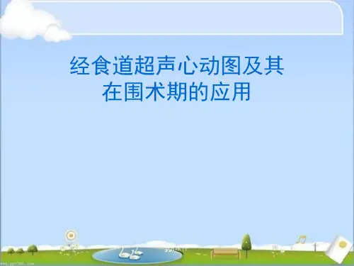 经食道超声心动图  ppt课件