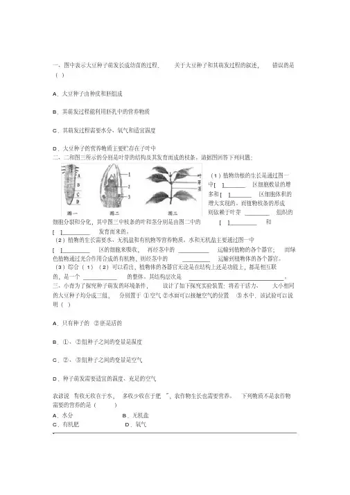 被子植物练习题(1)
