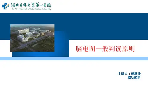 脑电图一般判读原则