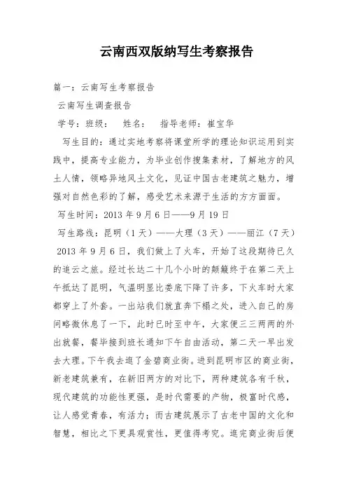 云南西双版纳写生考察报告