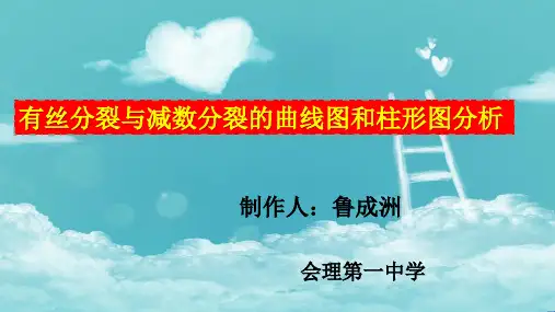 2021届高三一轮复习课件有丝分裂与减数分裂曲线图和柱形图总结