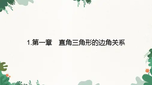 北师大版数学九年级下册第一章直角三角形的边角关系课件