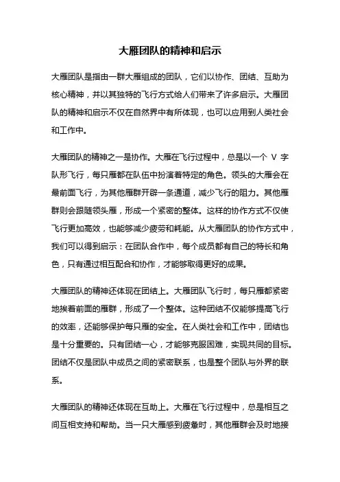 大雁团队的精神和启示