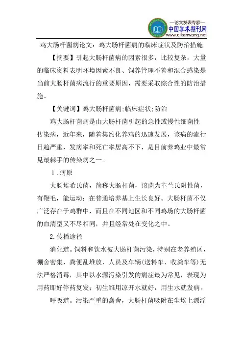鸡大肠杆菌病论文：鸡大肠杆菌病的临床症状及防治措施