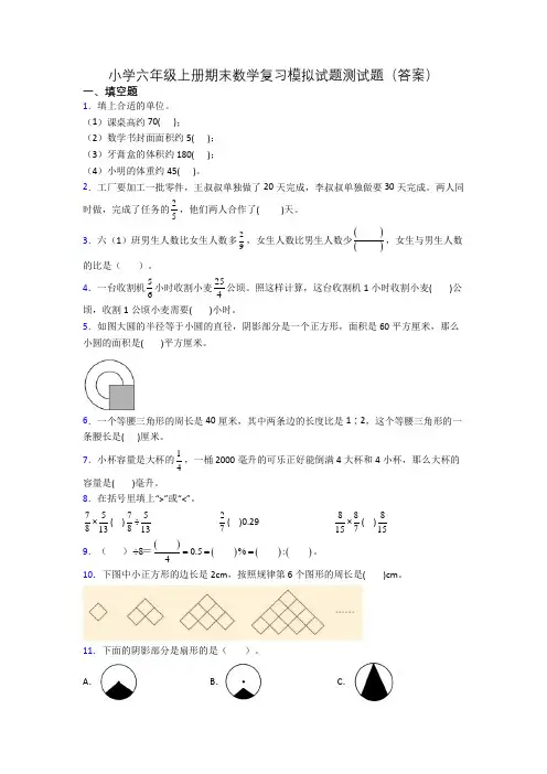 小学六年级上册期末数学复习模拟试题测试题(答案)