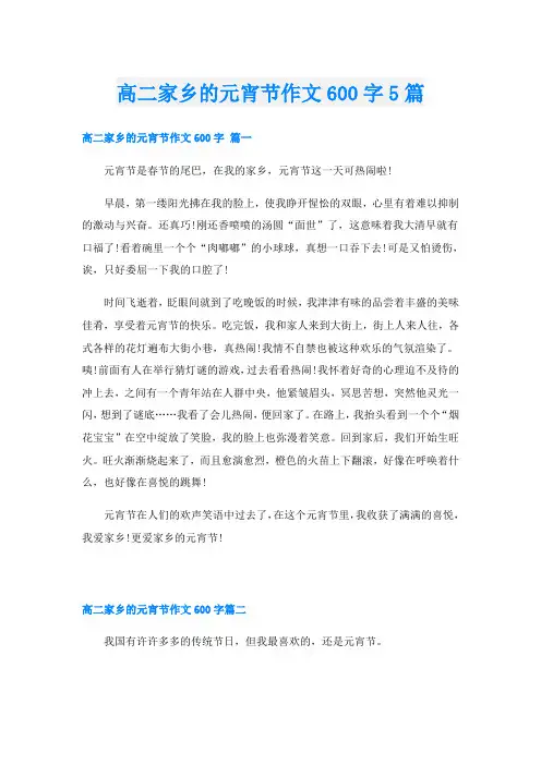 高二家乡的元宵节作文600字5篇