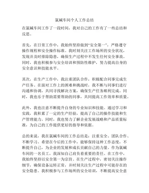 氯碱车间个人工作总结