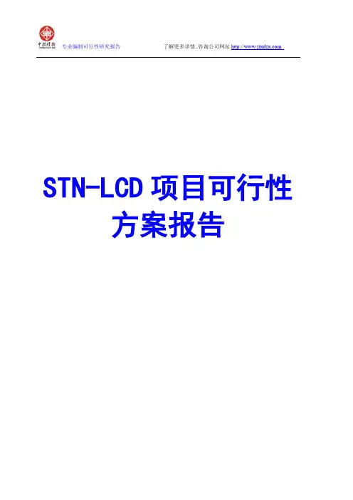 STN-LCD项目可行性方案报告