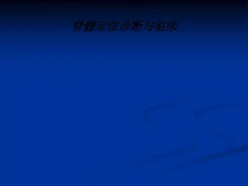[医学]脊髓定位诊断与临床