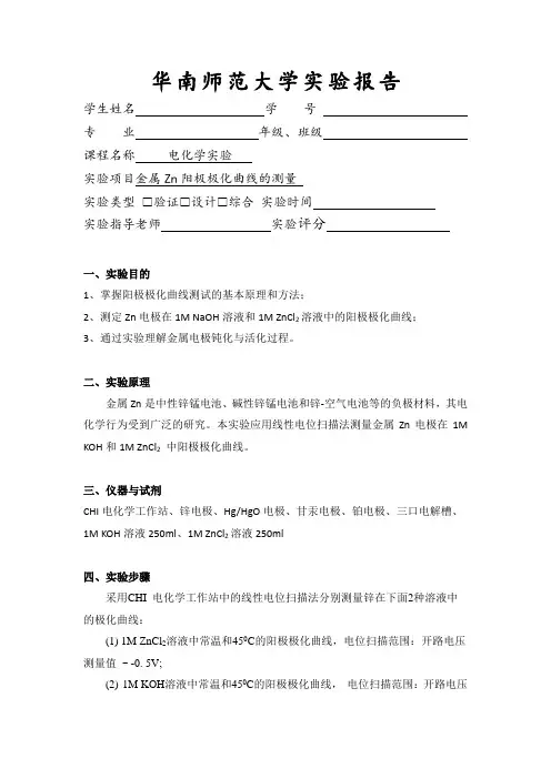 金属Zn阳极极化曲线的测量