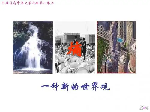 熵：一种新的世界观