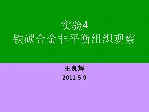 第五次试验碳钢的非平衡组织观察