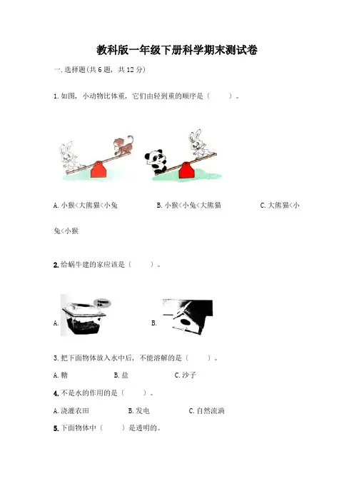 一年级下册科学期末测试卷附答案(完整版)